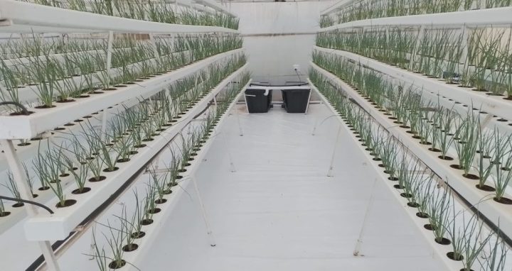 PHOTO-2023-02-10-12-49-11